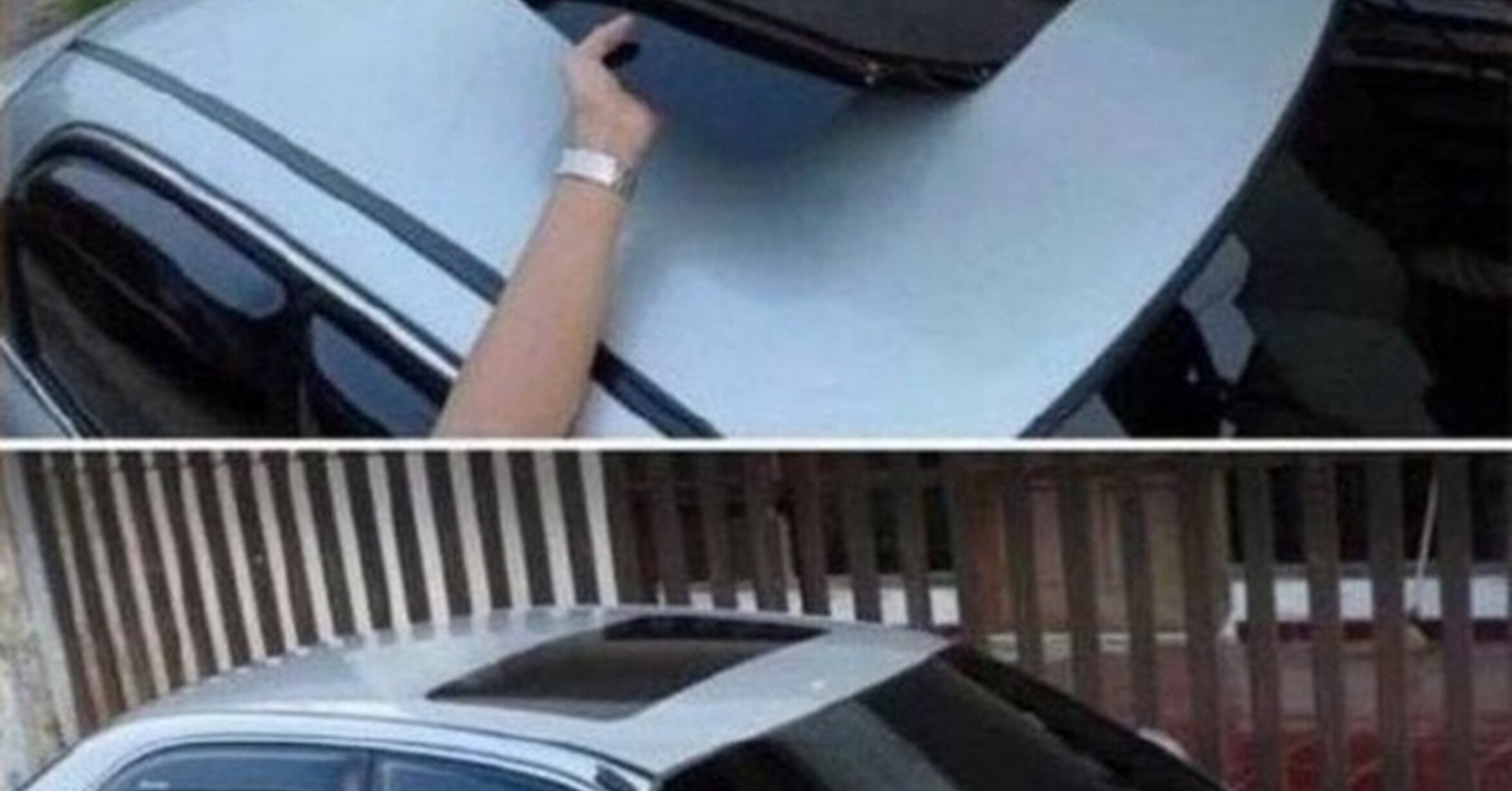 Tengo Ratas En El Falso Techo