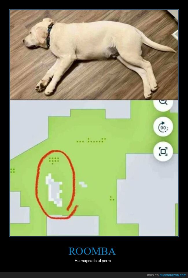 mapa,perro,roomba