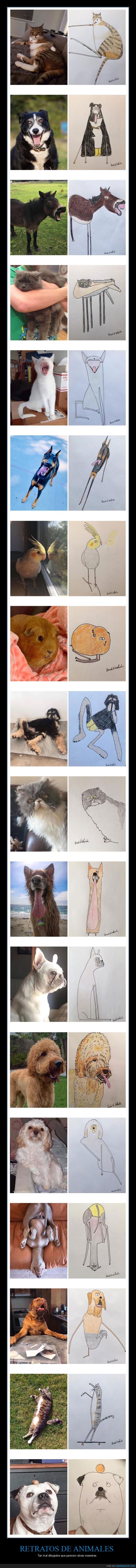 animales,mal dibujados,retratos