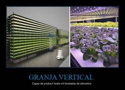 Enlace a Cultivando plantas con luces LED