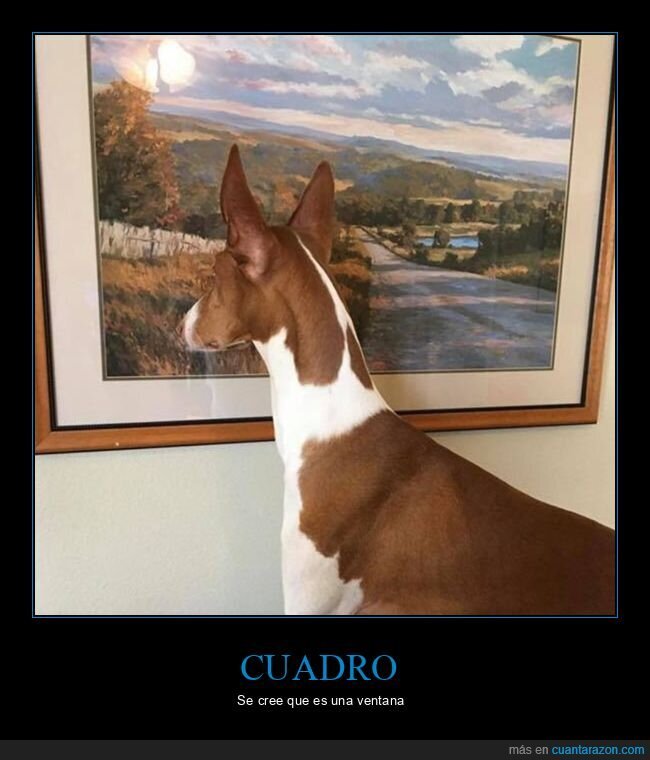 cuadro,perro,ventana