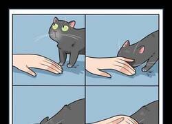 Enlace a Cómics de Lingvistov ilustran cómo es vivir con un gato