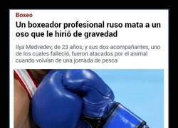Enlace a Boxeador ruso VS Oso
