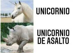 Enlace a Distintos tipos de unicornios
