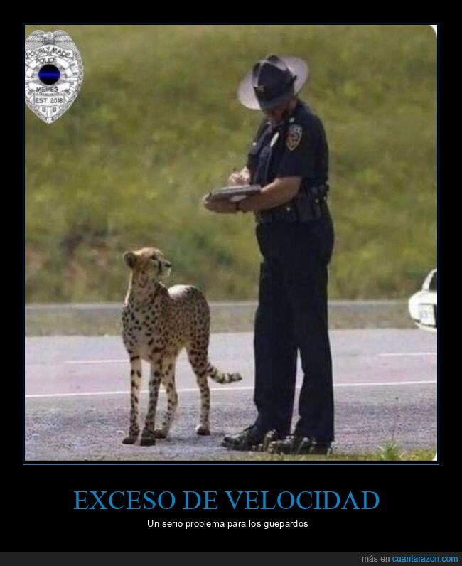 guepardo,policía,velocidad