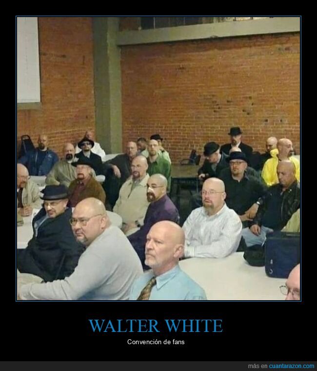 parecidos,walter white,wtf