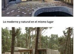Enlace a Increíbles casas construidas respetando la naturaleza