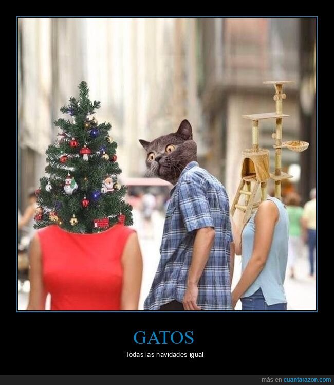 árbol de navidad,gatos