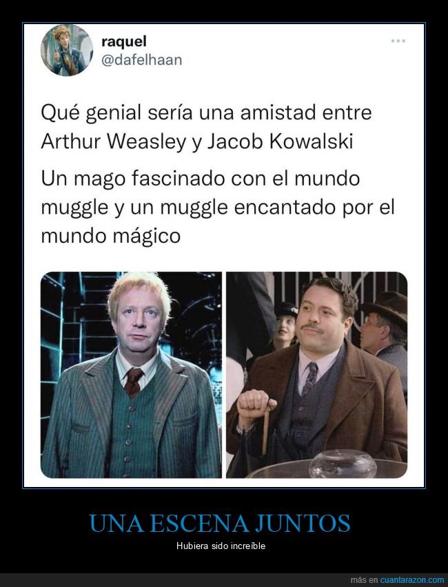 Harry Potter,muggles,weasley