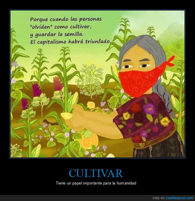 capitalismo,cultivar,semillas