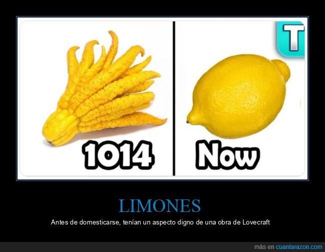 limones,antes,ahora