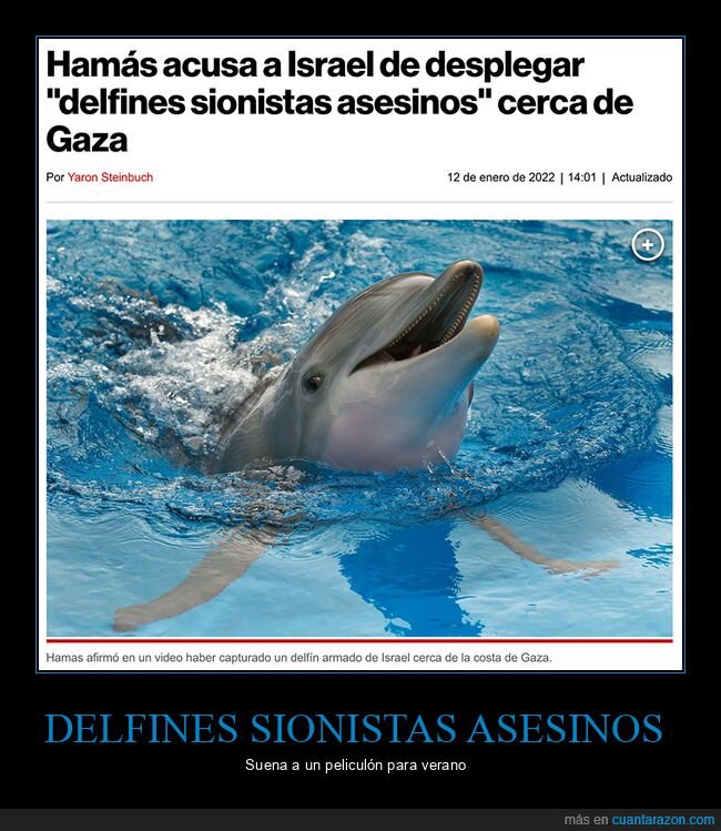 delfines,gaza,hamás,israel,wtf