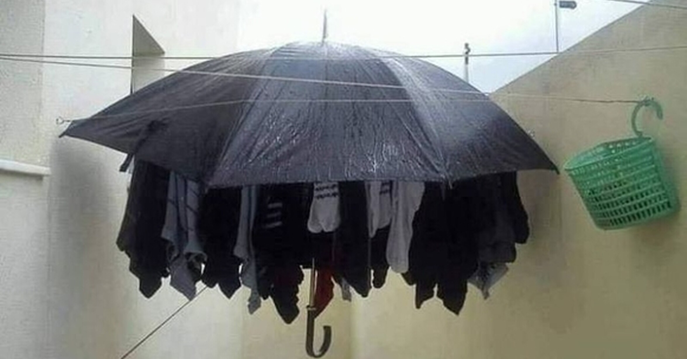 Смешной зонт