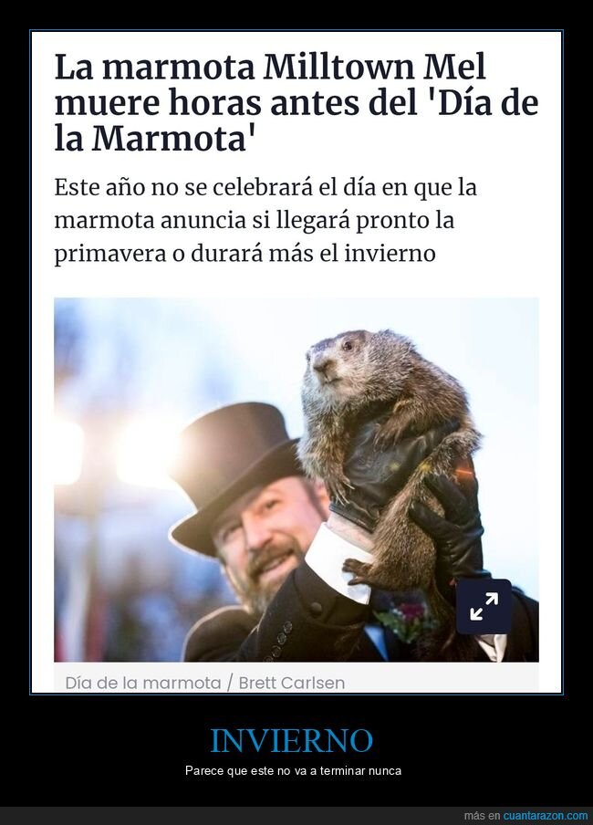 día de la marmota,marmota,muerte