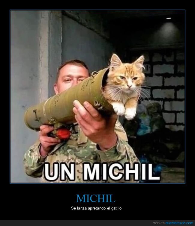 gato,bazooka,michil