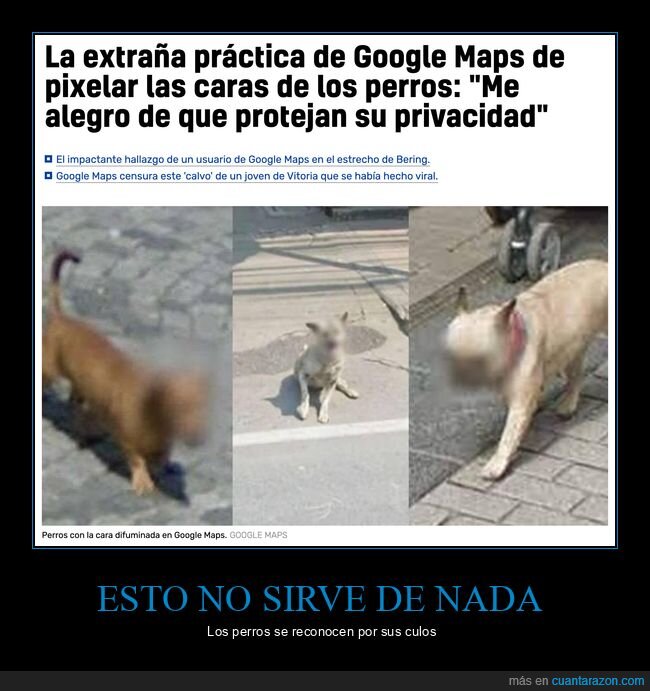 caras,google maps,perros,pixelar,privacidad