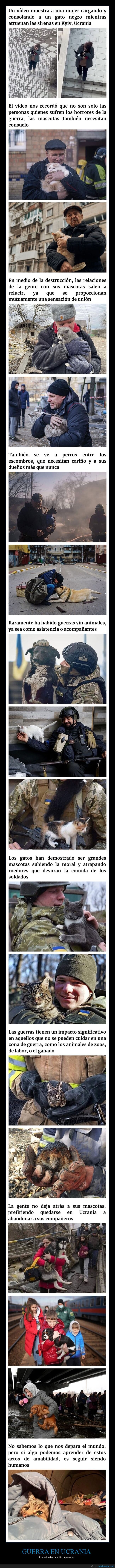 animales,guerra,ucrania