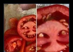 Enlace a Tomates diabólicos
