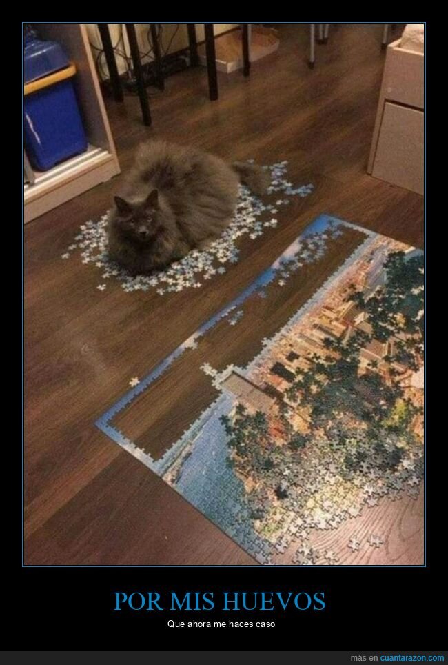 destrozar,gato,puzzle