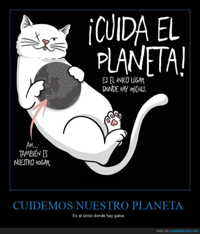 cuidar,gatos,planeta