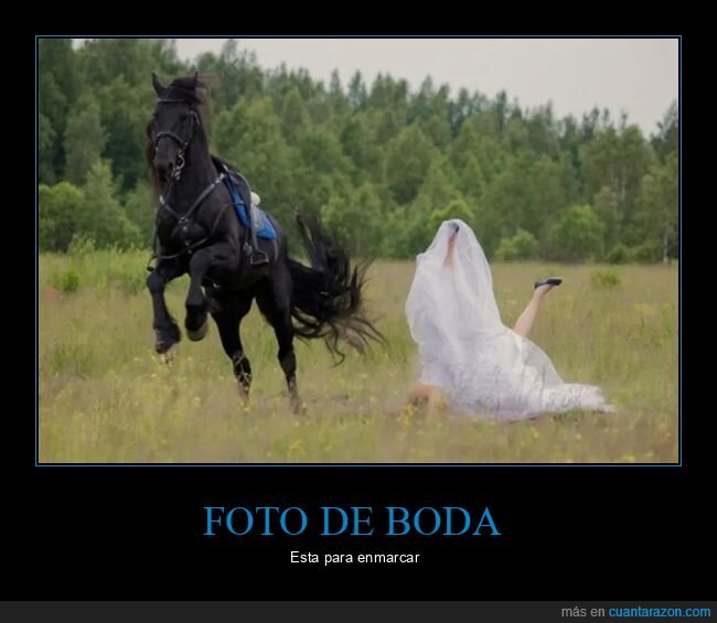 boda,caballo,fails,novia