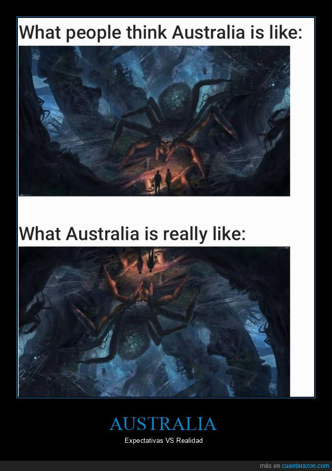 australia,expectativas,realidad