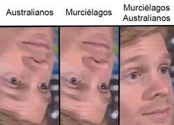 Enlace a Murciélagos australianos