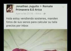 Enlace a Seguro que le funciona