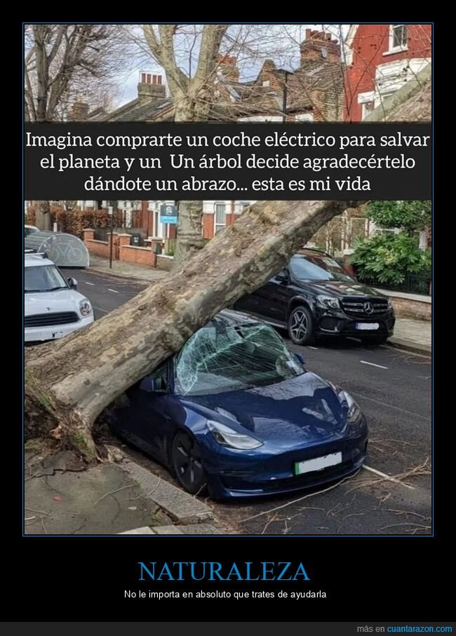 árbol,coche eléctrico,coches,fails