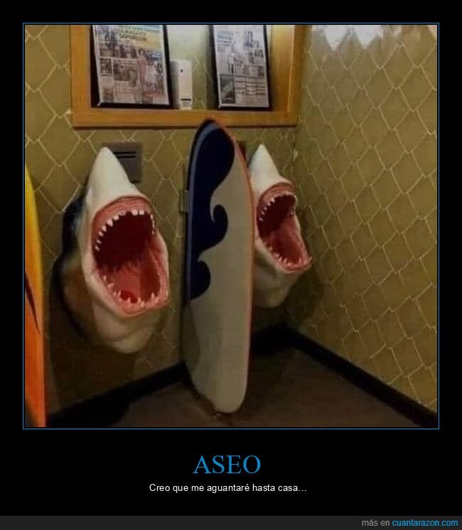 aseo,tiburones,wtf