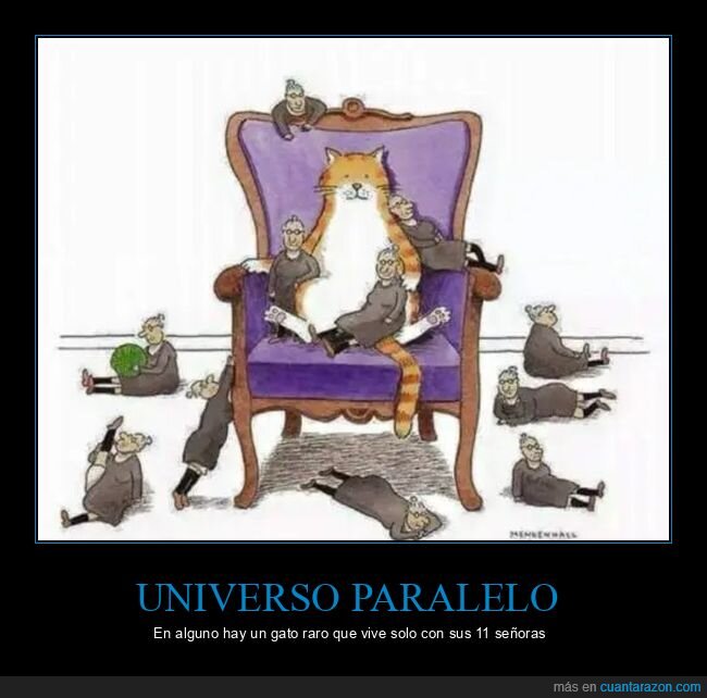 gatos,señoras,universo paralelo