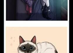Enlace a Ilustraciones que muestran cómo es tener un gato