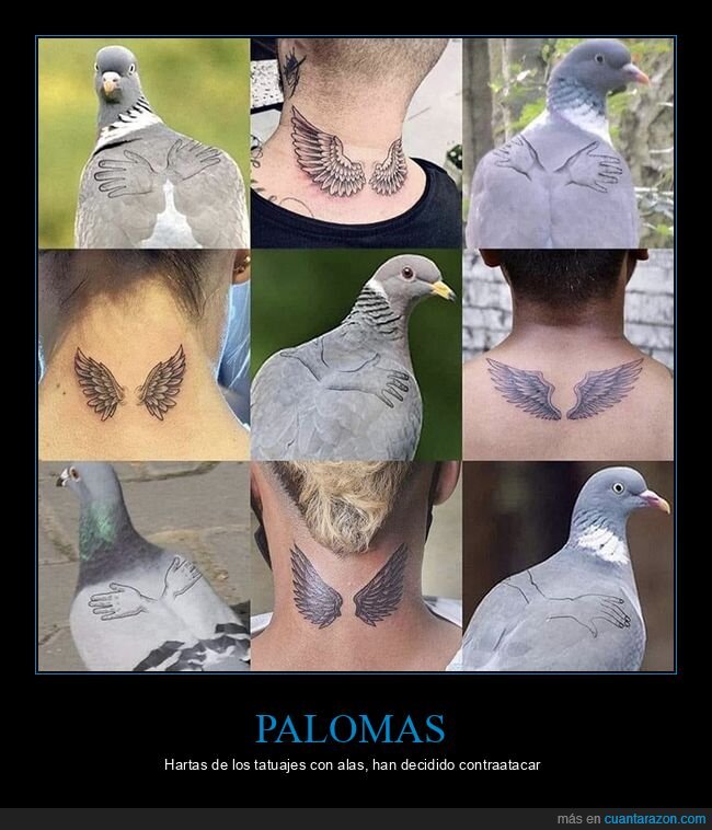 absurder,alas,palomas,tatuajes