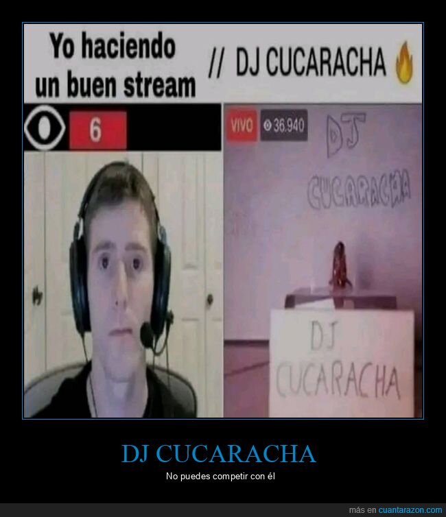 dj cucaracha,stream
