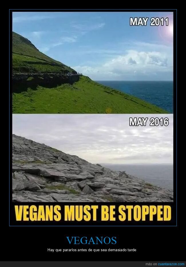 antes,después,veganos