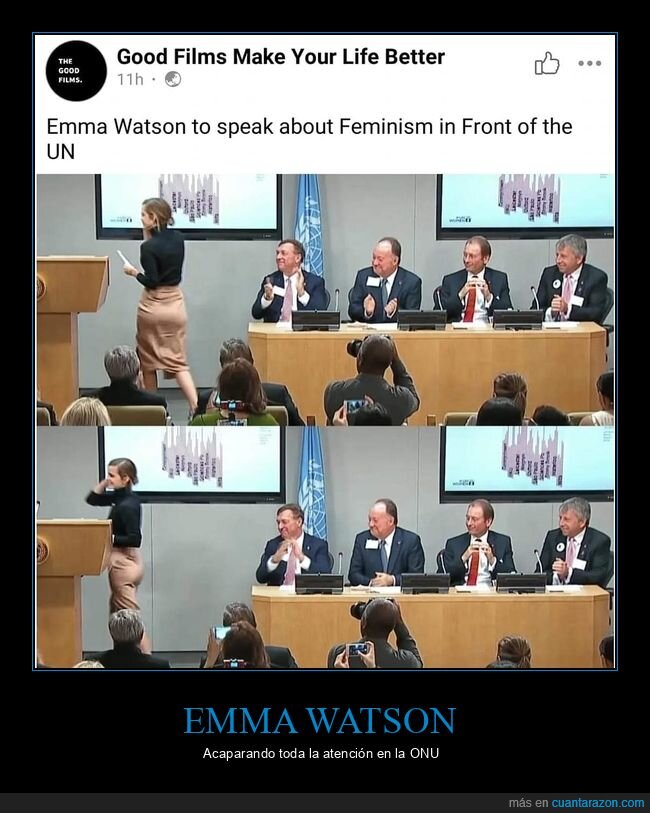 emma watson,feminismo,onu
