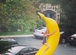 Enlace a Le gusta mucho el plátano