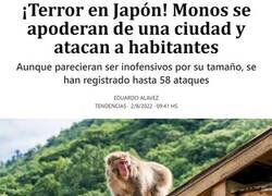 Enlace a Monos hostiles