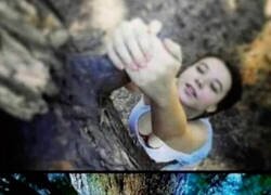 Enlace a Las aventuras de Groot