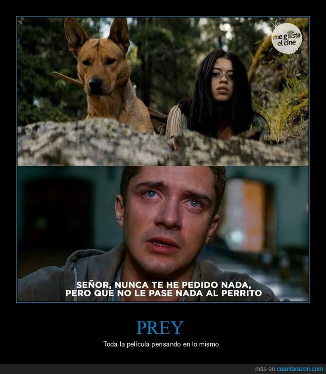 prey,perro