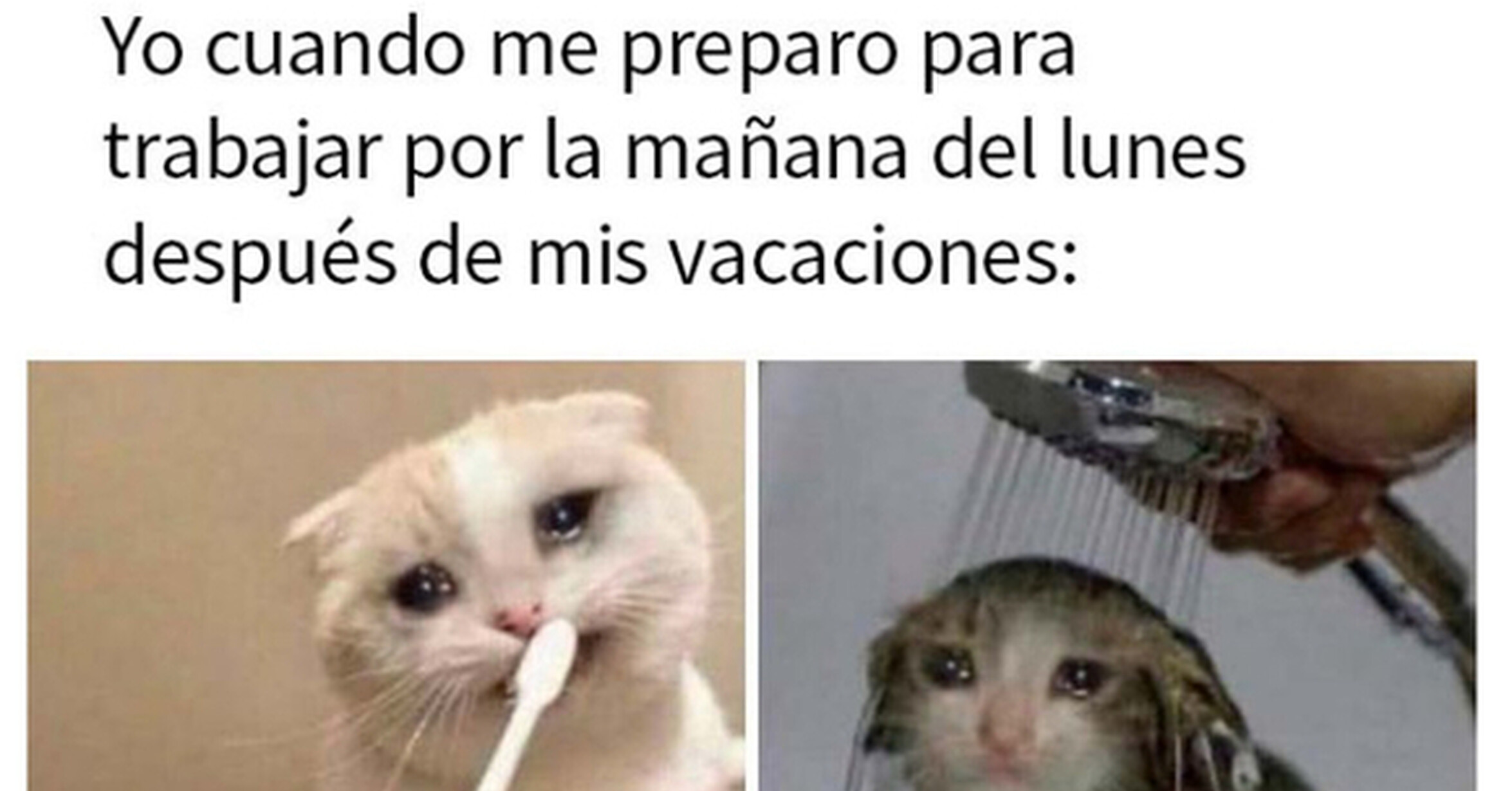 ¡Cuánta razón! / Memes acertados sobre vivir el sueño corporativo con ...