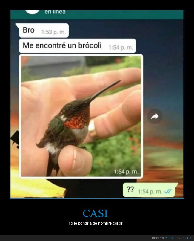 colibrí,brocoli