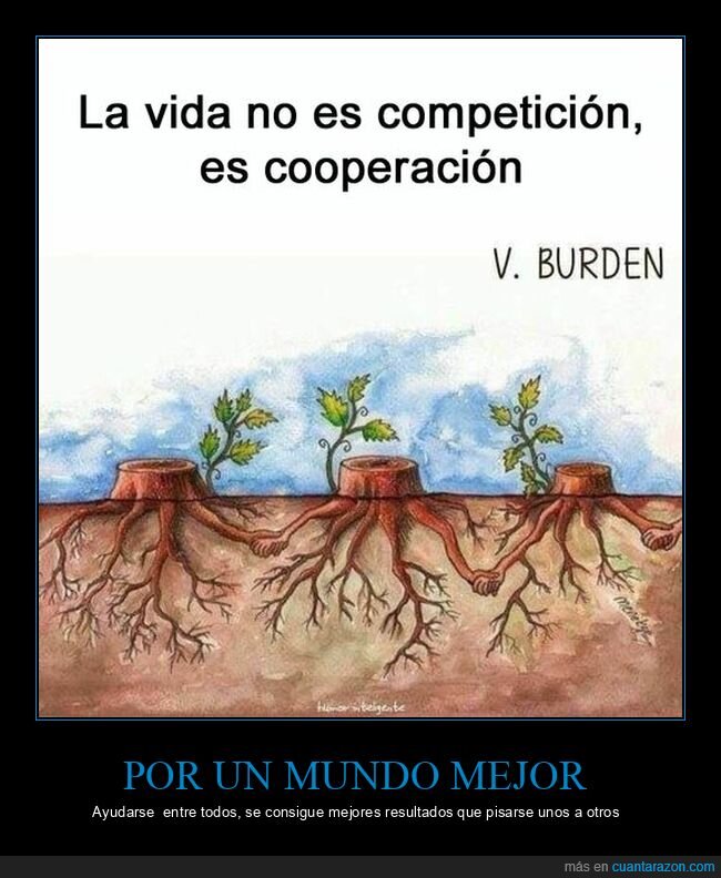 vida,competición,cooperación