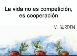 Enlace a ¿Competición o cooperación?