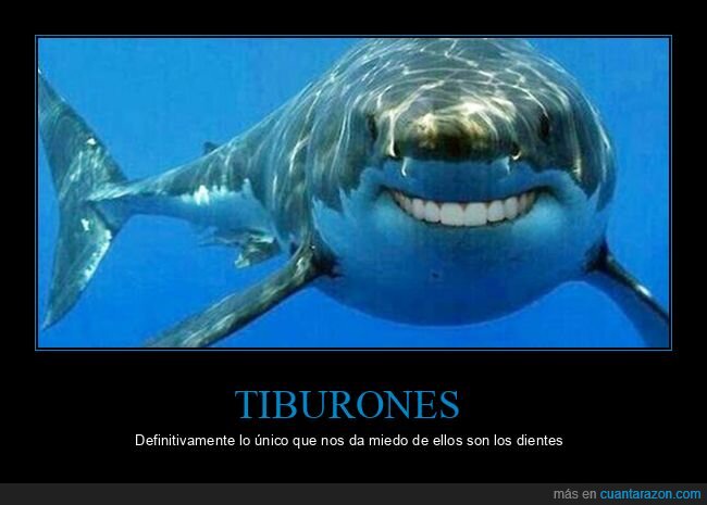 dientes,miedo,tiburón