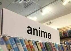 Enlace a Sección de anime