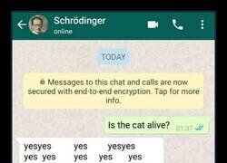 Enlace a Típico de Schrödinger