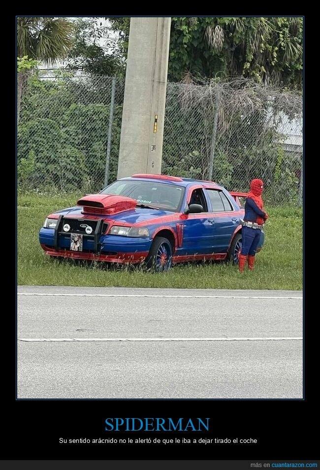 spiderman,coche