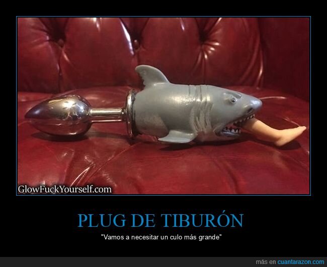 plug,tiburón,wtf
