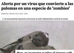 Enlace a El ataque de las palomas zombies